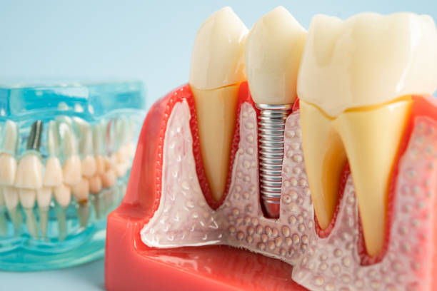 Best Emergency Dental Care  in Smithsburg, MD